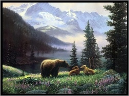 Niedźwiedzie, Góry