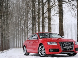 Śnieg, Las, Audi S5, Czerwone, Droga