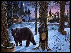 Śnieg, Ptaszek, Drzewa, Chatka, Zima, Niedźwiedzie