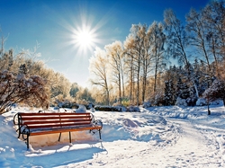 Śnieg, Promienie Słońca, Park, Drzewa, Zima, Ławka