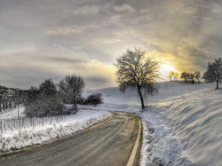 Droga, Śnieg, Zachód słońca, Drzewa, Zima, Wzgórze