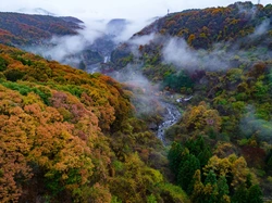 Nikko, Japonia, Góry, Kolorowe, Drzewa, Las, Jesień, Rzeka, Mgła
