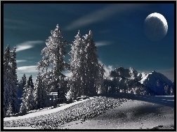 Śnieg, Drzewa, Góry, Noc, Księżyc