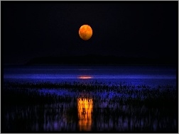 Księżyc, Noc, Jezioro