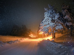 Oświetlenie, Noc, Śnieg, Drzewa, Droga, Zima, Padający