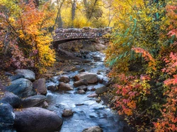 Kamienie, Jesień, Colorado Springs, Kolorowe, Kolorado, Potok, North Cheyenne Creek, Most, Stany Zjednoczone, Drzewa, Krzewy