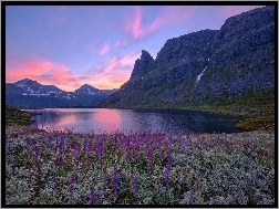 Norwegia, Jezioro, Łąka, Góry