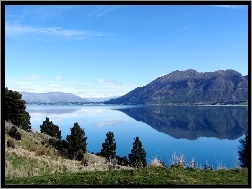 Nowa Zelandia, Góry, Drzewa, Jezioro, Hawea