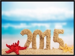 Nowy Rok 2015, Rozgwiazdy