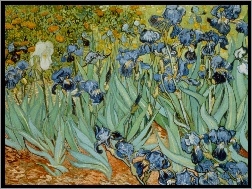 Obraz, Irysy, Vincent van Gogh