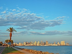 San Diego, Palma, Chmury, Drapacze Chmur, Stany Zjednoczone, Ocean