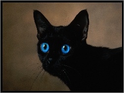 Oczy, Kot, Czarny, Niebieskie