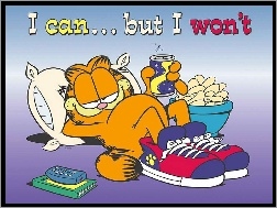 Odpoczywający, Garfield