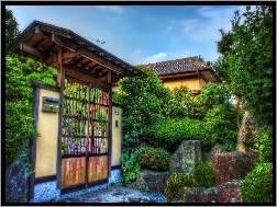 Brama, Ogród, Japoński
