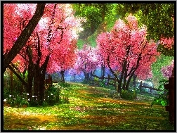 Drzewa, Ogród, Kwitnące