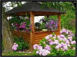Kwiaty, Ogród, Altanka