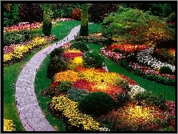 Kwiaty, Ogród, Kolorowe