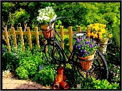 Ogród, Rower