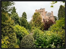 Ogród, Crathes, Zamek, Szkocja