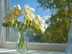 Firanki, Białe, Wazonik, Okno, Frezje, Grafika AI