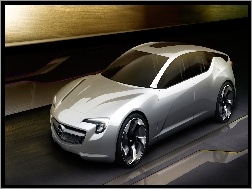 Prototyp, Opel, Flextreme