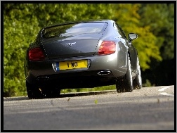 Opon, Bentley Continental GT, Profil
