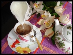 Orchidee, Kawa, Serwis, Mleczko