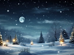 Zima, Drzewa, Noc, Oświetlenie, Choinki, Grafika
