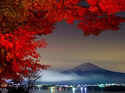 Drzewo, Oświetlone Miasto, Wulkan Fudżi, Japonia, Natura