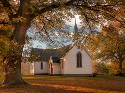 Jesień, Otane, Nowa Zelandia, Kościół, Drzewo, Liście
