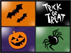 pająk, nietoperze , Halloween, dynia