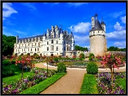 Francja, Chenonceau, Zamek, Ogród