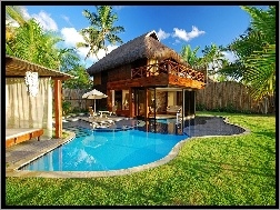 Palmy, Basen, Balkon, Dom, Trawa