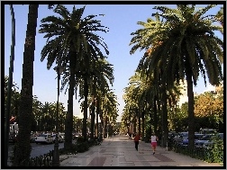 Palmy, Ulica, Malaga, Budynki