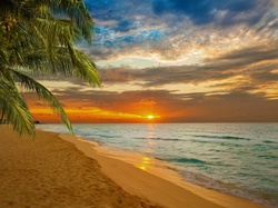 Palmy, Morze, Zachód Słońca, Plaża