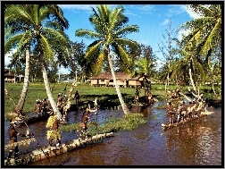 Palmy, Rzeka, Indonezja, Wyspa, Czółna
