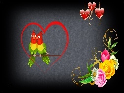 Papużki, Walentynki, Miłosne, Grafika, Papugi