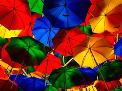 Parasolki, Kolorowe