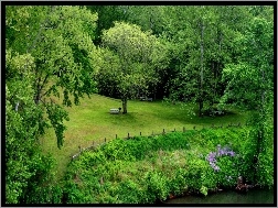 Ławki, Park, Trawnik