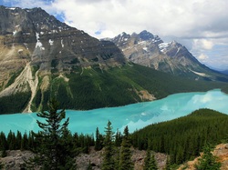 Canadian Rockies, Park Narodowy Banff, Kanada, Jezioro Peyto Lake, Góry, Drzewa