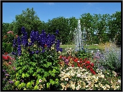 Fontanna, Park, Kwiaty