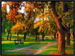 Park, Drzewa, Jesień, Ławka