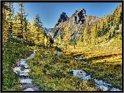 Lasy, Park Narodowy Yoho, Kanada, Ścieżka, Góry, Jesień