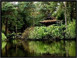 Park, Jezioro