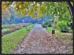 Park, Legnica