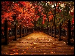 Park, Liście, Jesień, Kolorowe, Most, Drzewa