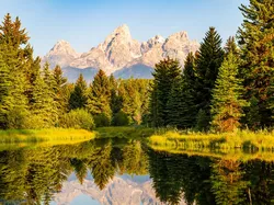 Odbicie, Drzewa, Góry, Stany Zjednoczone, Wyoming, Park Narodowy Grand Teton, Rzeka