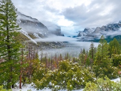 Park Narodowy Yosemite, Śnieg, Drzewa, Kalifornia, Stany Zjednoczone, Mgła, Góry Sierra Nevada, Chmury