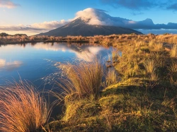 Staw Pouakai, Taranaki, Trawa, Nowa Zelandia, Odbicie, Chmury, Góra, Park Narodowy Egmont