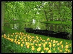 Tulipany, Park, Rzeka